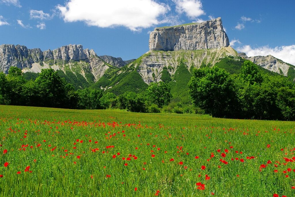 MONT AIGUILLE